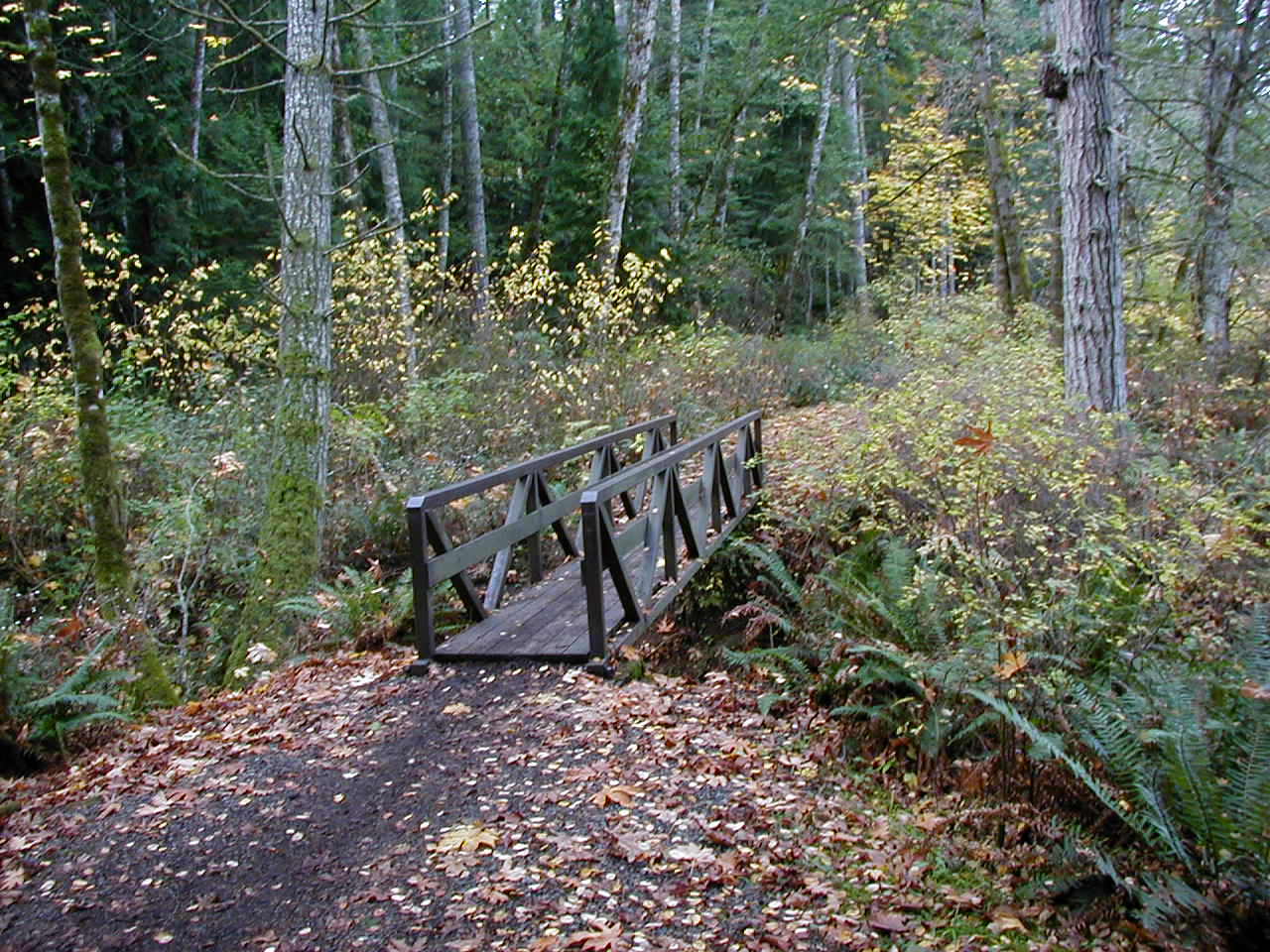 Featured image of post Hemer Provincial Park