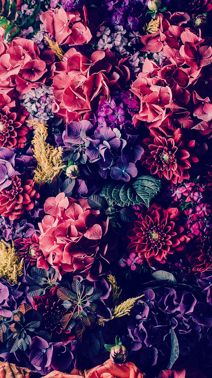 Featured image of post Iphone Floral Background Hd