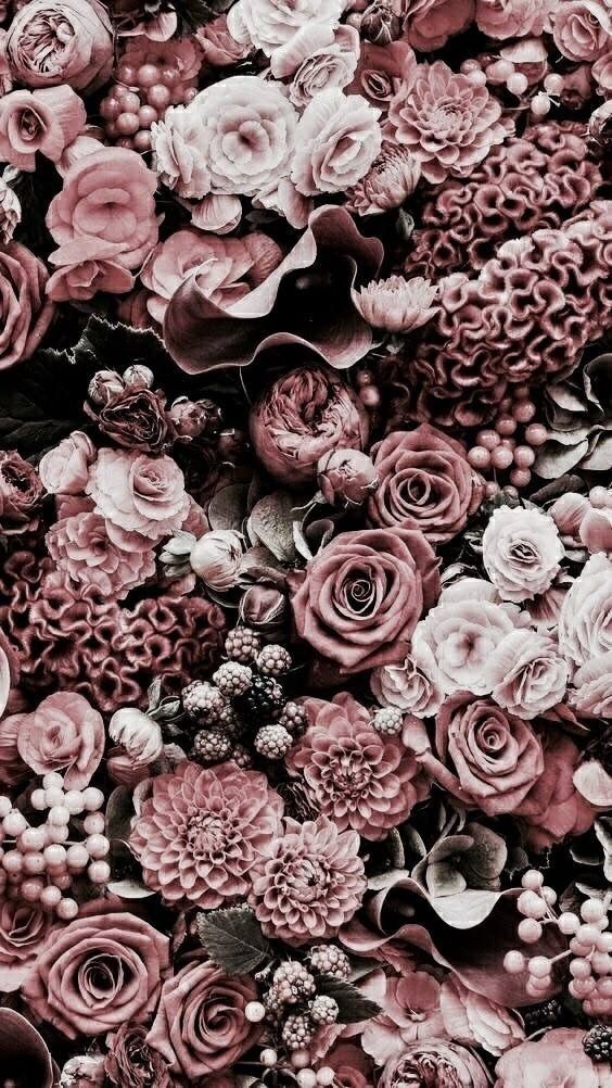 Featured image of post Iphone Floral Background Images