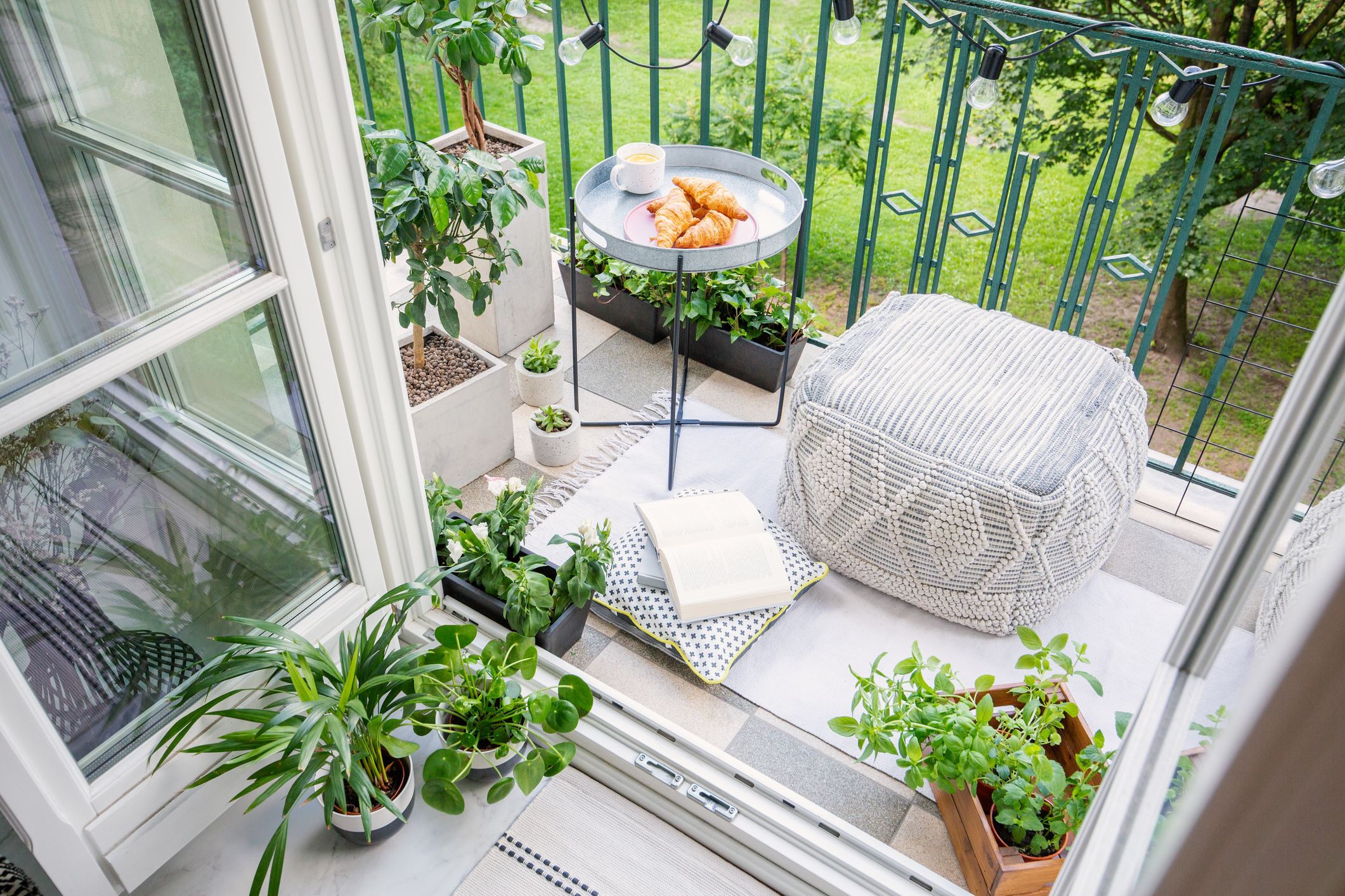 Featured image of post Nice Plants For Balcony