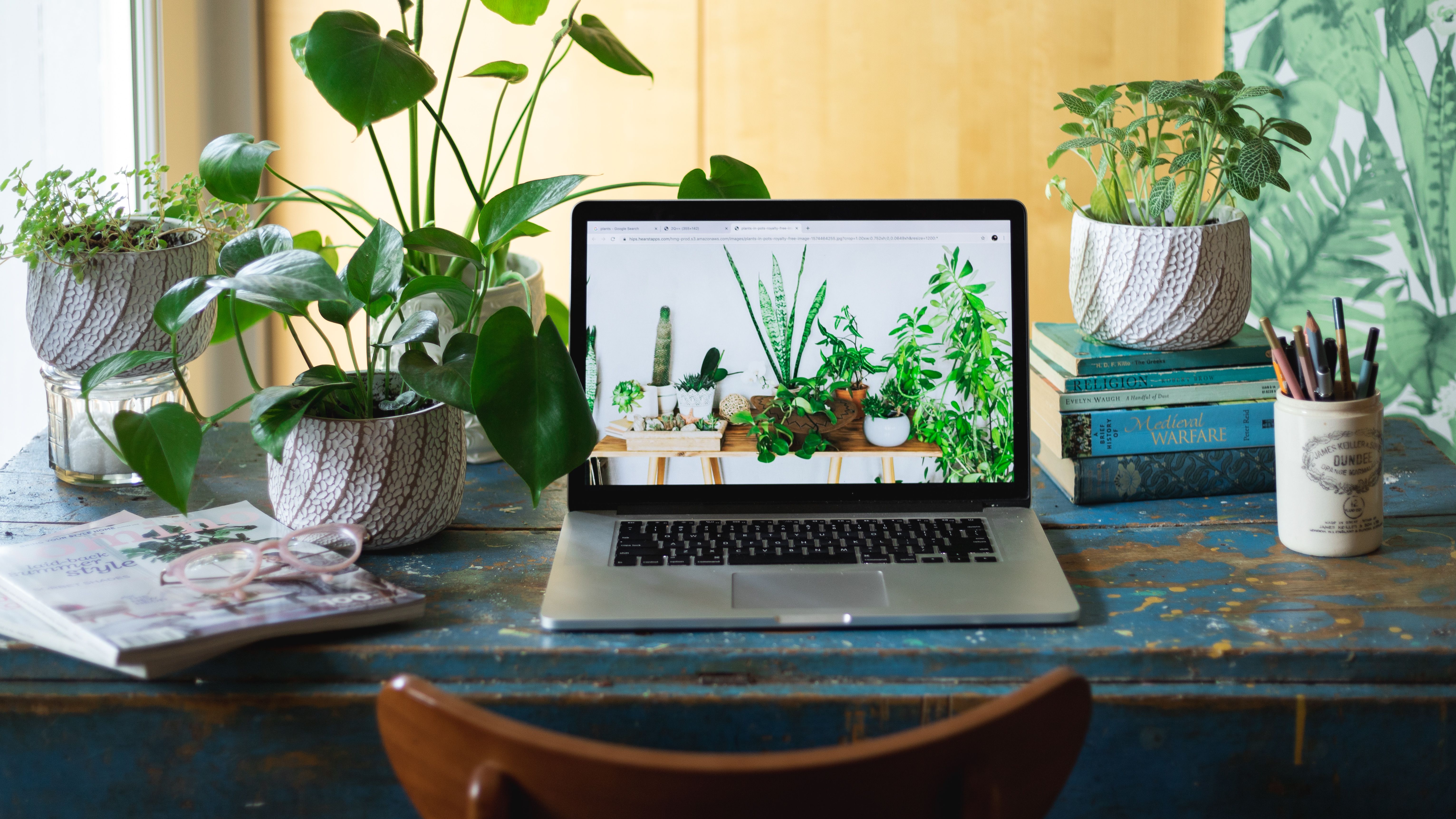 Featured image of post Nice Plants For Office