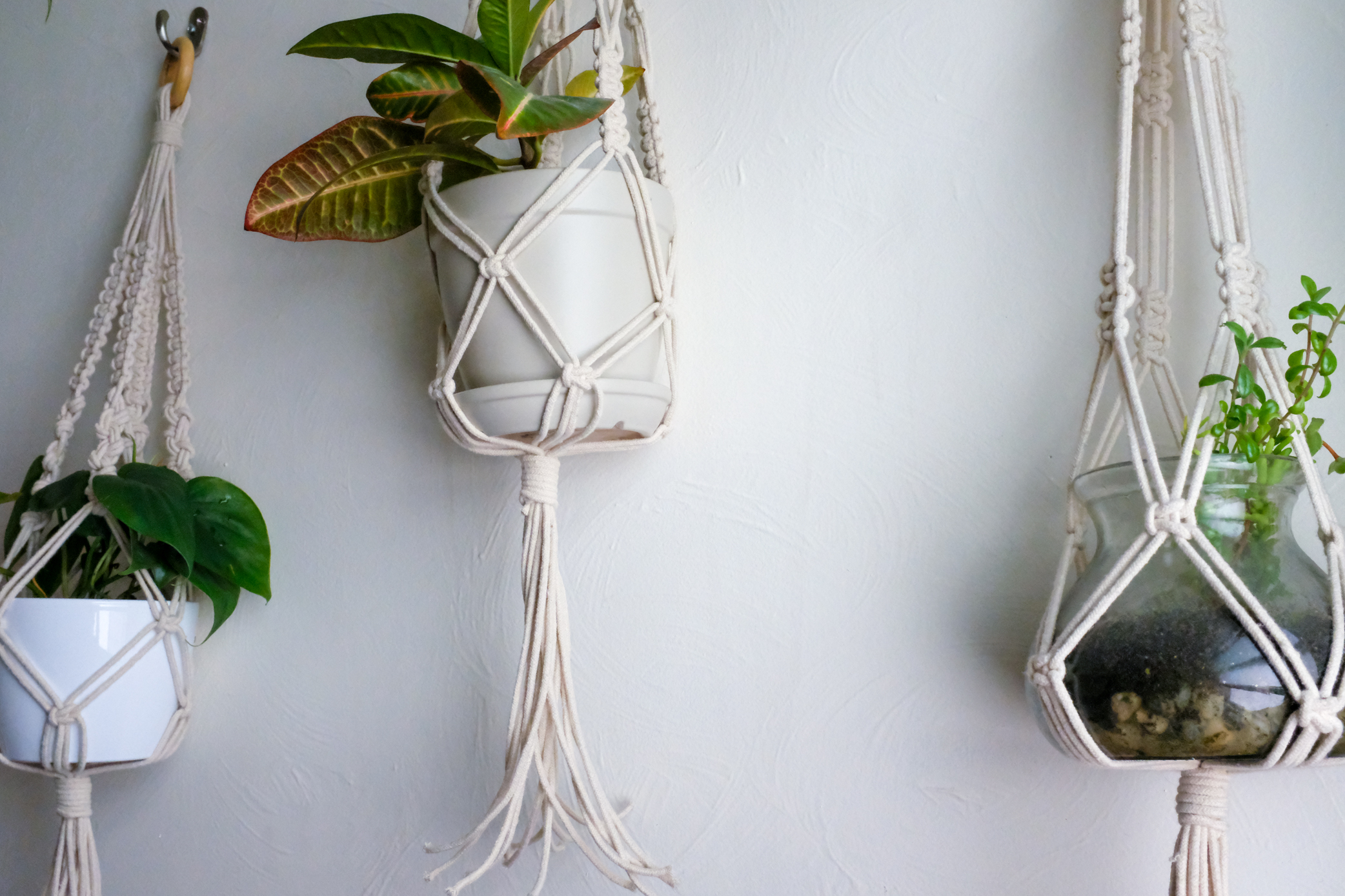 Featured image of post Patterns Step By Step Diy Macrame Plant Hanger