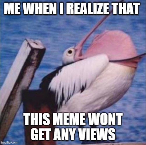 Featured image of post Pelican Meme