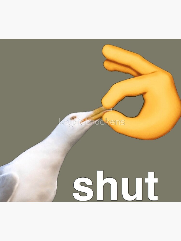 Featured image of post Shut Pelican Meme